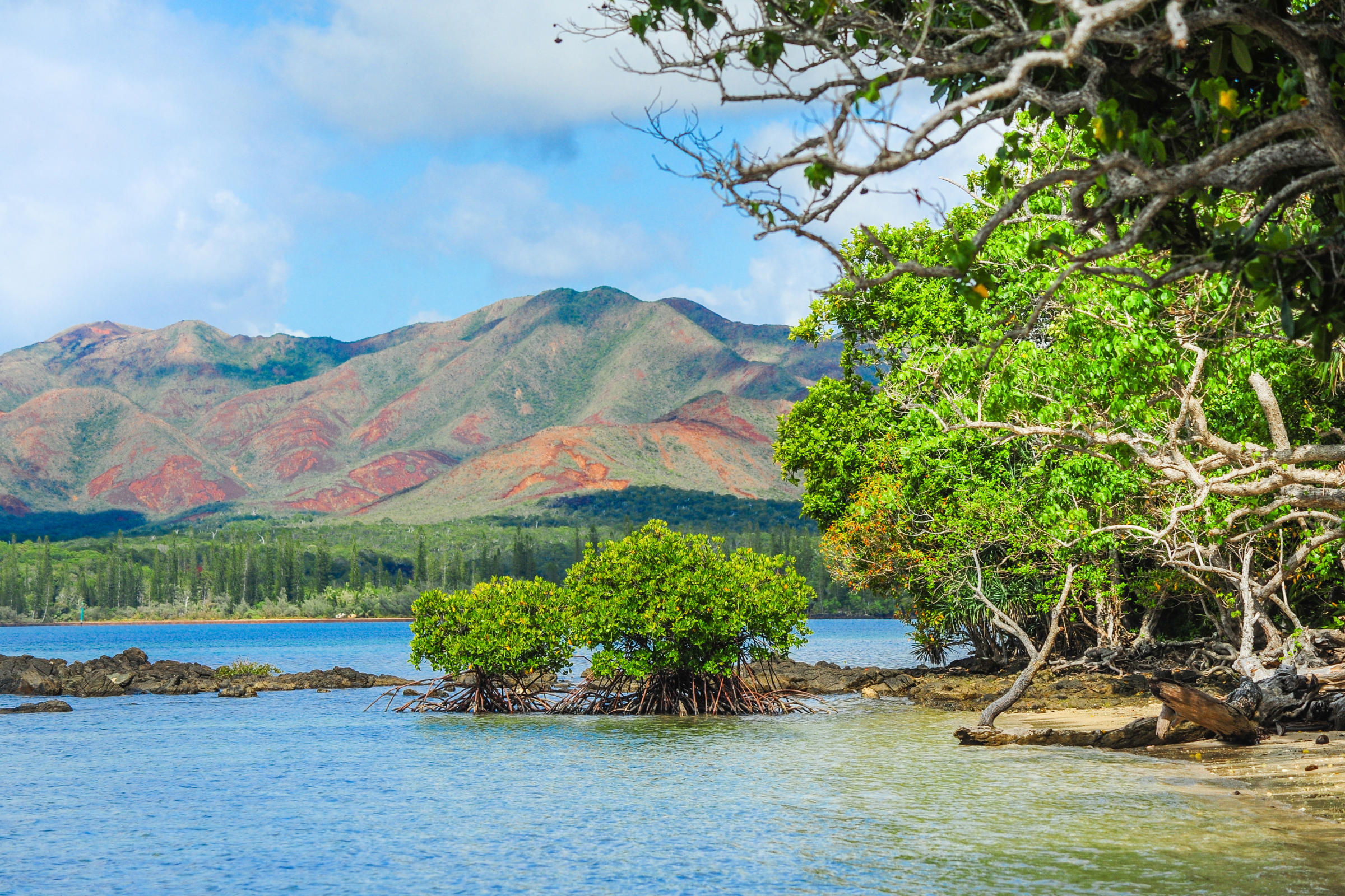 kouaré island (3).webp
